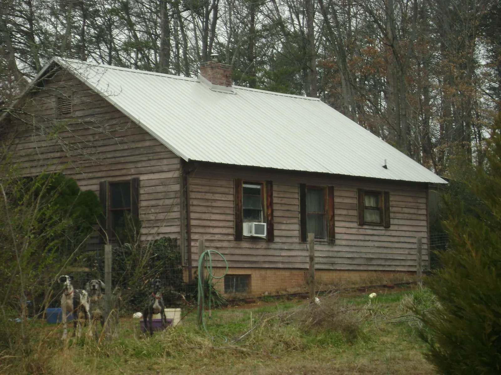 White metal roof on an old wood sided farmhouse, from a Asphalt Shingle Roof Repair job in Avella